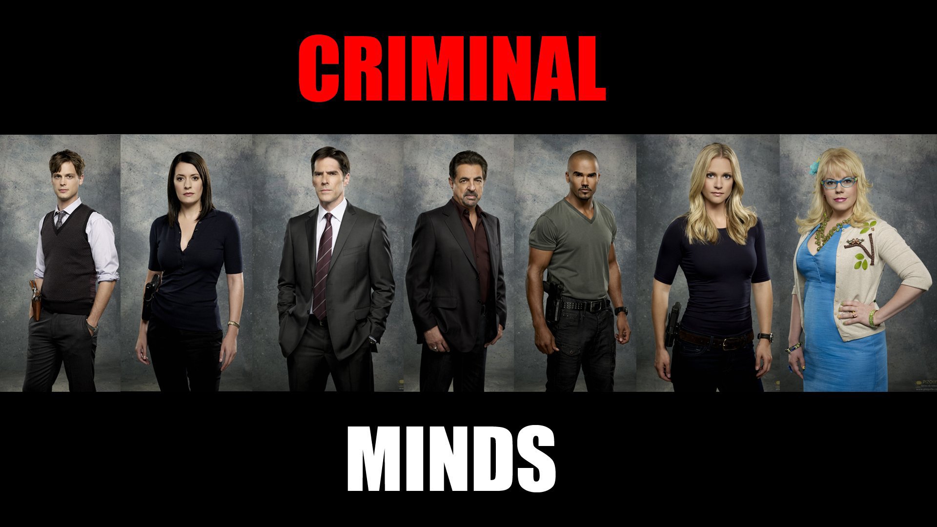კრიმინალური აზროვნება სეზონი 1 / Criminal Minds Season 1 ქართულად