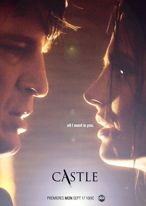 ქესლი სეზონი 5 / Castle Season 5 ქართულად