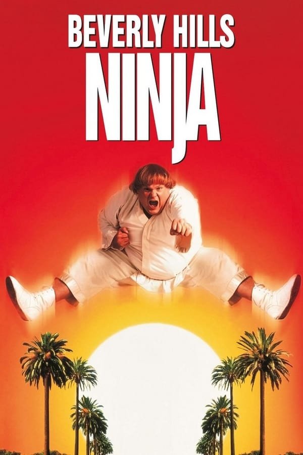ნინძა ბევერლი ჰილზიდან / Beverly Hills Ninja ქართულად