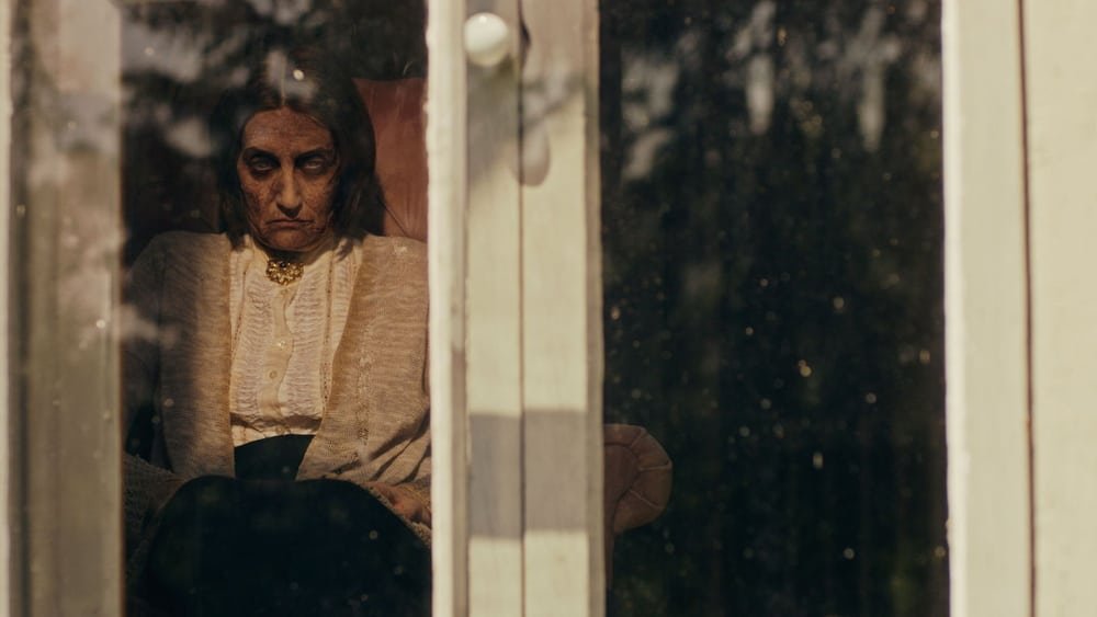 ჯადოქარი ფანჯარაში / The Witch in the Window ქართულად