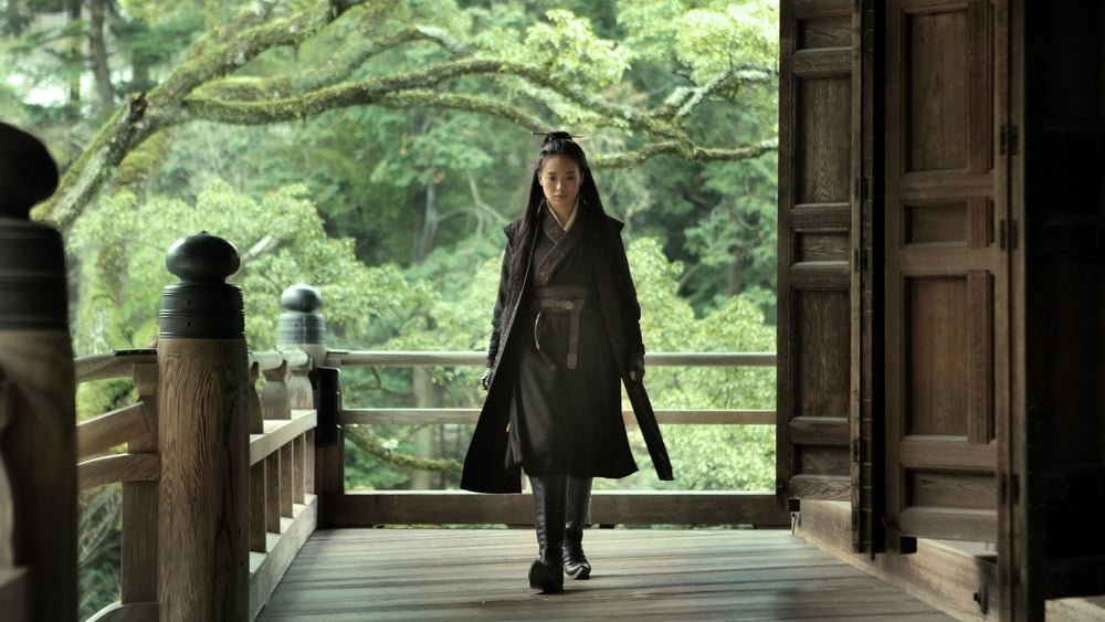 მკვლელი / The Assassin (Mkvleli Qartulad) ქართულად
