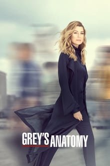 გრეის ანატომია სეზონი 16 / Grey's Anatomy Season 16 ქართულად