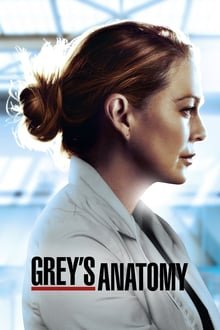 გრეის ანატომია სეზონი 17 / Grey's Anatomy Season 17 ქართულად