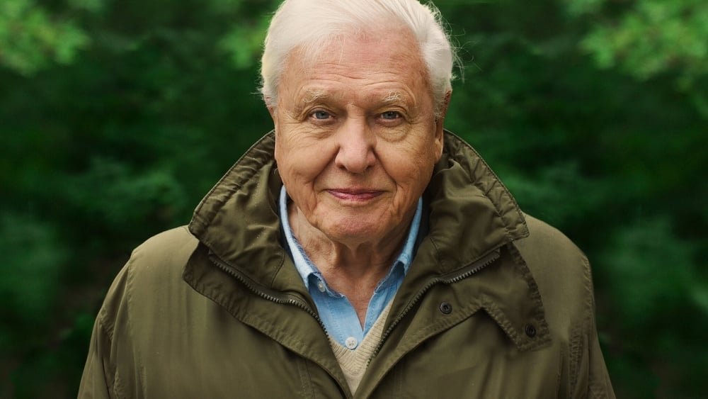 დეივიდ ატენბორო: ცხოვრება ჩვენს პლანეტაზე / David Attenborough: A Life on Our Planet ქართულად