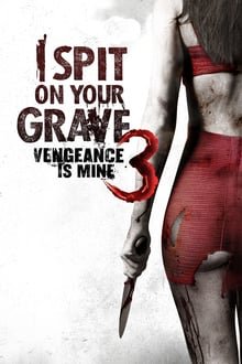 მიმიფურთხებია თქვენი საფლავებისთვის 3 / I Spit on Your Grave III: Vengeance is Mine (Mimifurtxebia Tqveni Saflavebistvis 3 Qartulad) ქართულად