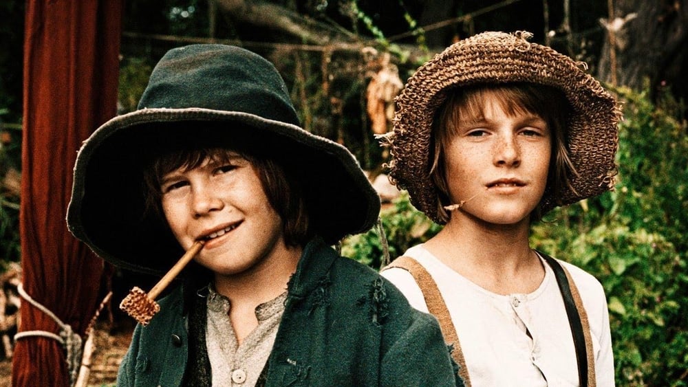 ტომ სოიერი და ჰეკლბერი ფინი / Tom Sawyer & Huckleberry Finn (Tom Soieri da Heklberi Fini Qartulad) ქართულად