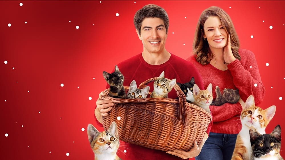 ცხრა საშობაო კნუტი / The Nine Kittens of Christmas (Cxra Sashobao Knuti Qartulad) ქართულად