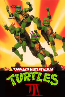 კუ-ნინძები 3 / Teenage Mutant Ninja Turtles III (Ku-Nindzebi 3 Qartulad) ქართულად