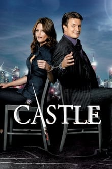 ქესლი სეზონი 1 / Castle Season 1 (Qesli Qartulad) ქართულად