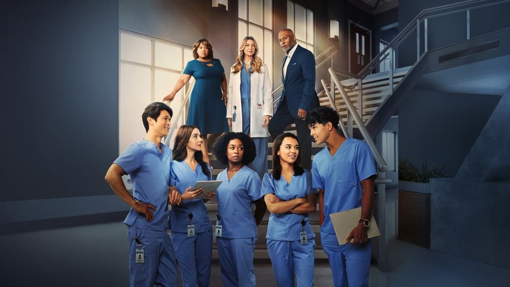 გრეის ანატომია სეზონი 19 / Grey's Anatomy Season 19 (Greis Anatomia Sezoni 19) ქართულად