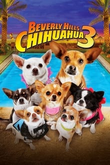 ჩიხუახუა ბევერლი ჰილზიდან 3 / Beverly Hills Chihuahua 3: Viva La Fiesta! (Chixuaxua Beverli Hilzidan 3 Qartulad) ქართულად