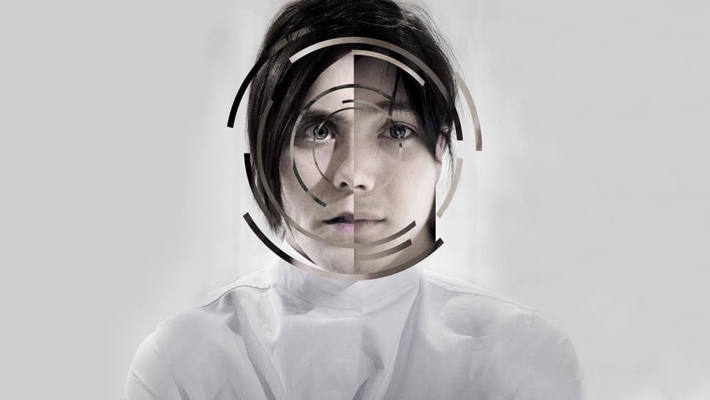 მისტერ არავინ / Mr. Nobody (Mister Aravin Qartulad) ქართულად
