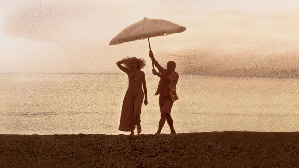 პიკასოსთან ცხოვრების გატარება / Surviving Picasso (Pikasostan Cxovrebis Gatareba Qartulad) ქართულად