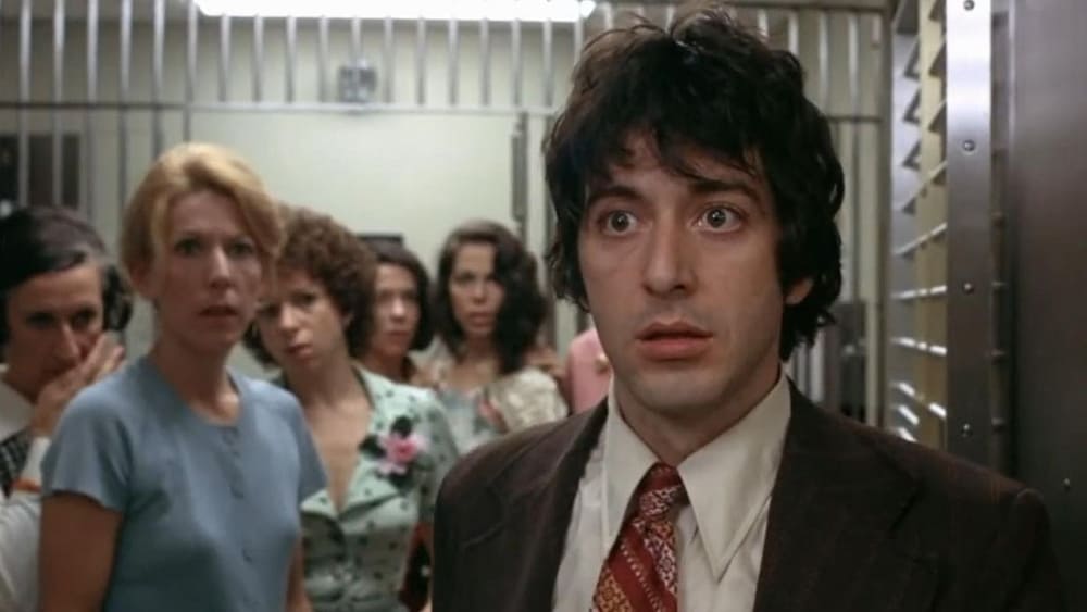 ძაღლური შუადღე / Dog Day Afternoon (Dzagluri Shuadge Qartulad) ქართულად