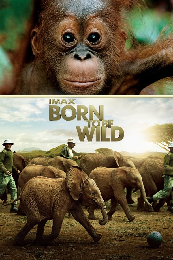 ველურებად დაბადებულნი / Born to Be Wild (Velurebad Dabadebulni Qartulad) ქართულად