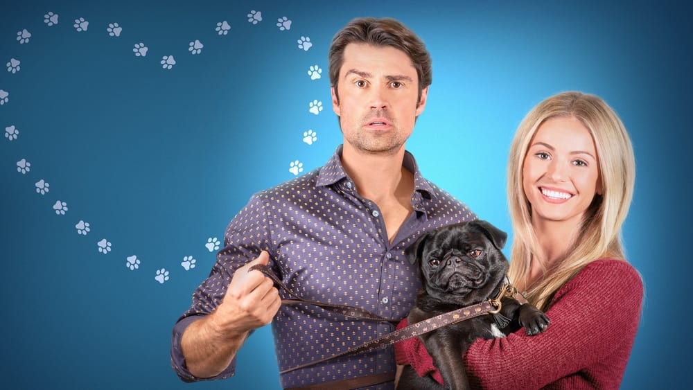 ძაღლების მოყვარულთა დამრიგებელი / The Dog Lover's Guide to Dating (Dzaglebis Moyvarulta Damrigebeli Qartulad) ქართულად