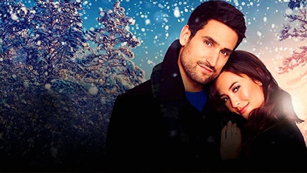 საშობაო მიზანი / Christmas with a View (Sashobao Mizani Qartulad) ქართულად