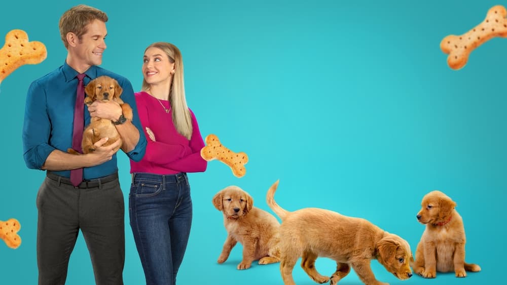 ყველგან ლეკვები / Everything Puppies (Yvelgan Lekvebi Qartulad) ქართულად