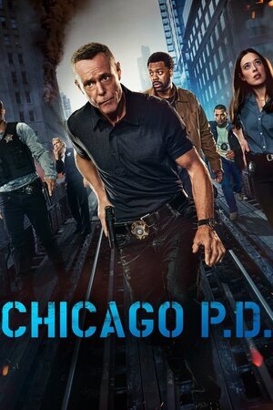 ჩიკაგოს პოლიცია / Chicago P.D. (Chikagos Policia Qartulad) ქართულად