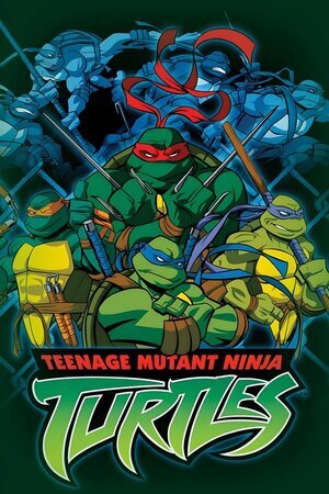 კუ ნინძები / Teenage Mutant Ninja Turtles (Ku Nindzebi Qartulad) ქართულად