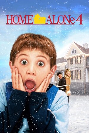 მარტო სახლში 4 / Home Alone 4 (Marto Saxlshi 4 Qartulad) ქართულად