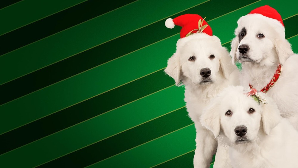 საშობაო ხუთეული / Santa Buddies (Sashobao Xuteuli Qartulad) ქართულად